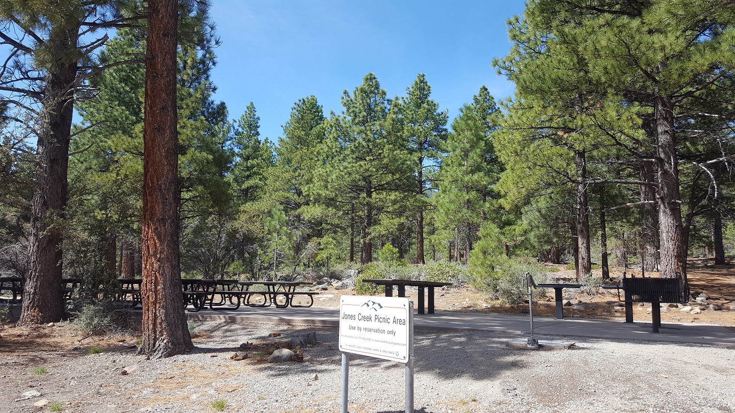 Jones Creek Group Picnic Area